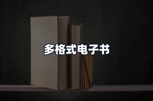多格式电子书