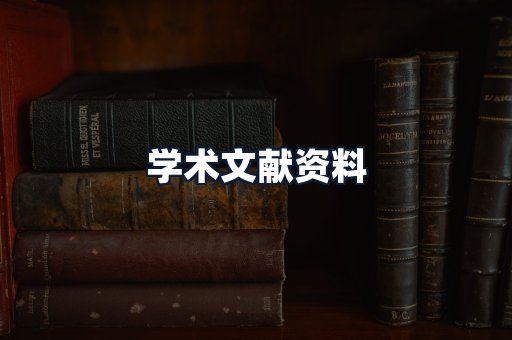 学术文献资料